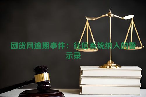 团贷网逾期事件：征信系统纳入的警示录