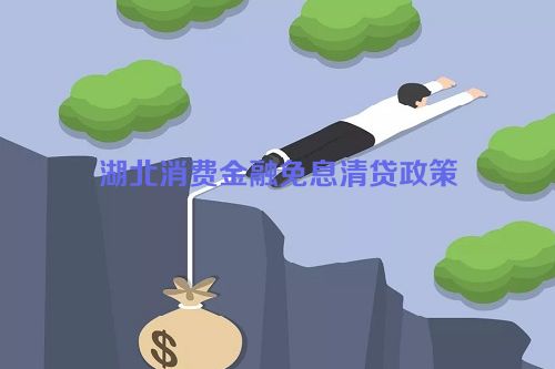 湖北消费金融免息清贷政策