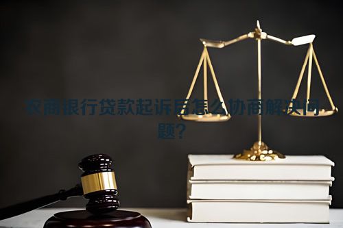 农商银行贷款起诉后怎么协商解决问题？