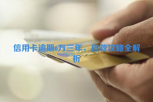 信用卡逾期6万三年，自救攻略全解析