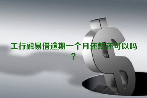 工行融易借逾期一个月还款还可以吗？