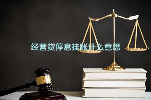 经营贷停息挂账什么意思