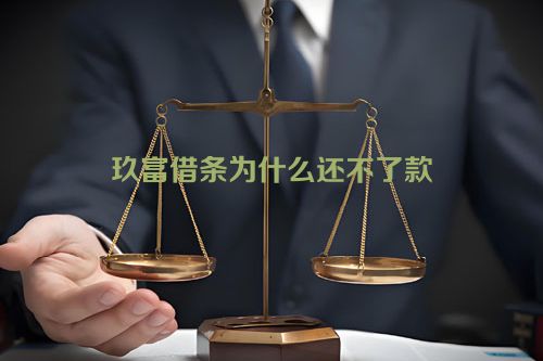 玖富借条为什么还不了款