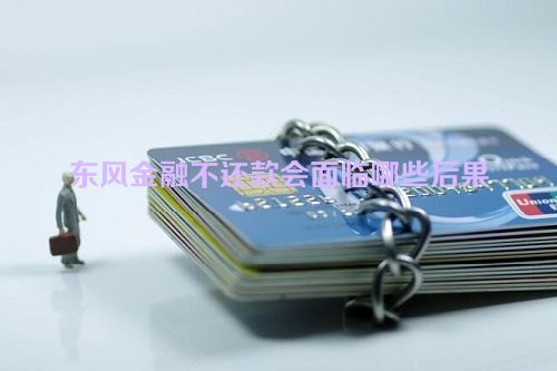 东风金融不还款会面临哪些后果