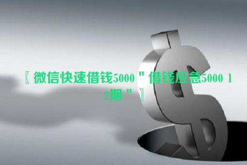 微信快速借钱5000＂借钱应急5000 12期＂