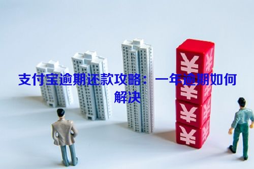 支付宝逾期还款攻略：一年逾期如何解决