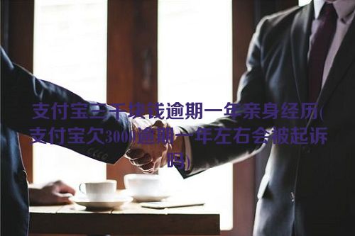 支付宝三千块钱逾期一年亲身经历(支付宝欠3000逾期一年左右会被起诉吗)