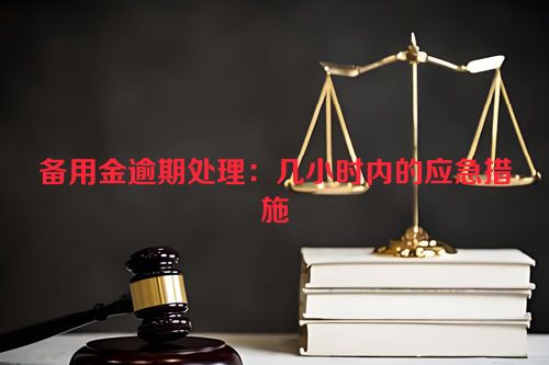 备用金逾期处理：几小时内的应急措施