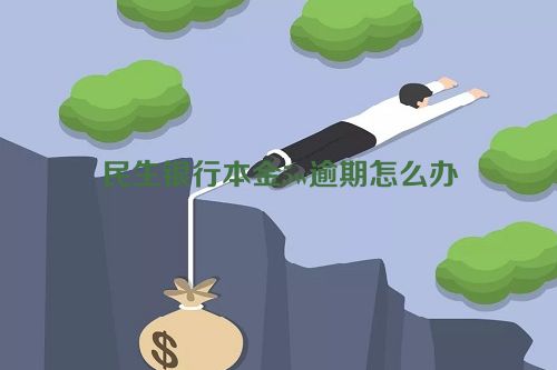 民生银行本金5w逾期怎么办