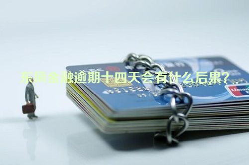 东风金融逾期十四天会有什么后果？