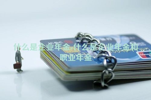 什么是企业年金-什么是企业年金和职业年金