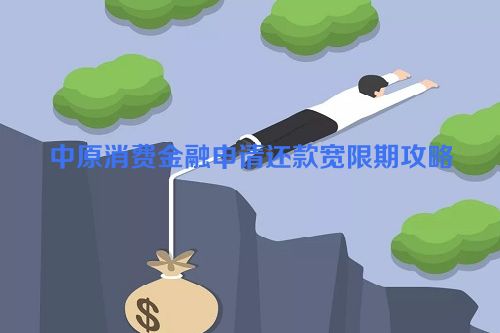 中原消费金融申请还款宽限期攻略