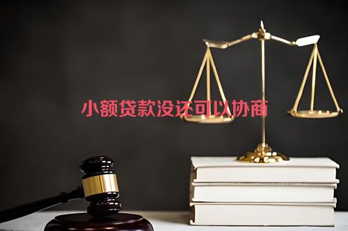 小额贷款没还可以协商