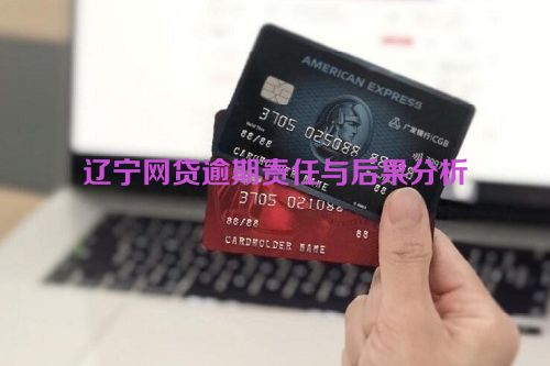 辽宁网贷逾期责任与后果分析