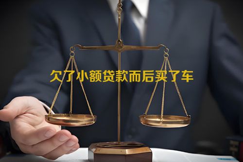 欠了小额贷款而后买了车