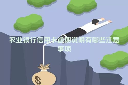 农业银行信用卡逾期说明有哪些注意事项