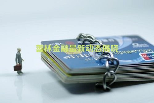 善林金融最新动态揭晓