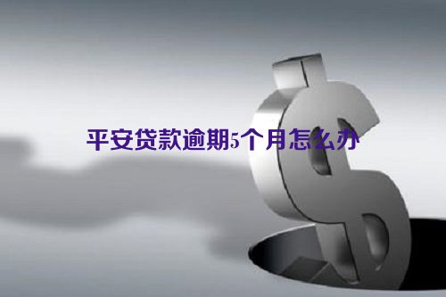 平安贷款逾期5个月怎么办