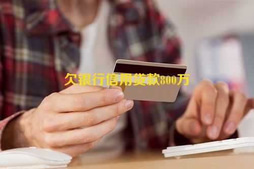 欠银行信用贷款800万