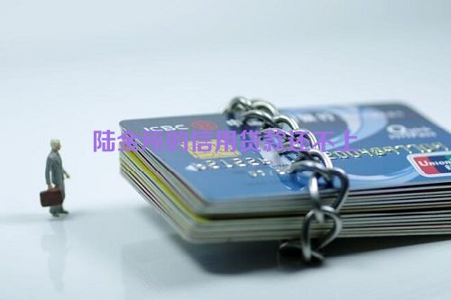 陆金所的信用贷款还不上